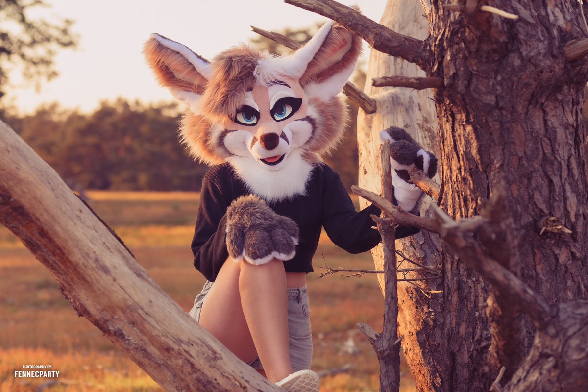 WeMightBite's tweet photo. This rosey fennec is up for auction again at the lowest price I’m willing to go! Can you be their forever home?

You can send me a pm if you have questions 🌸 

https://t.co/OOmWQvyxtA

📸 @FENNECPARTY 
💃 @FuzzyVixen https://t.co/QAn3O9krPE