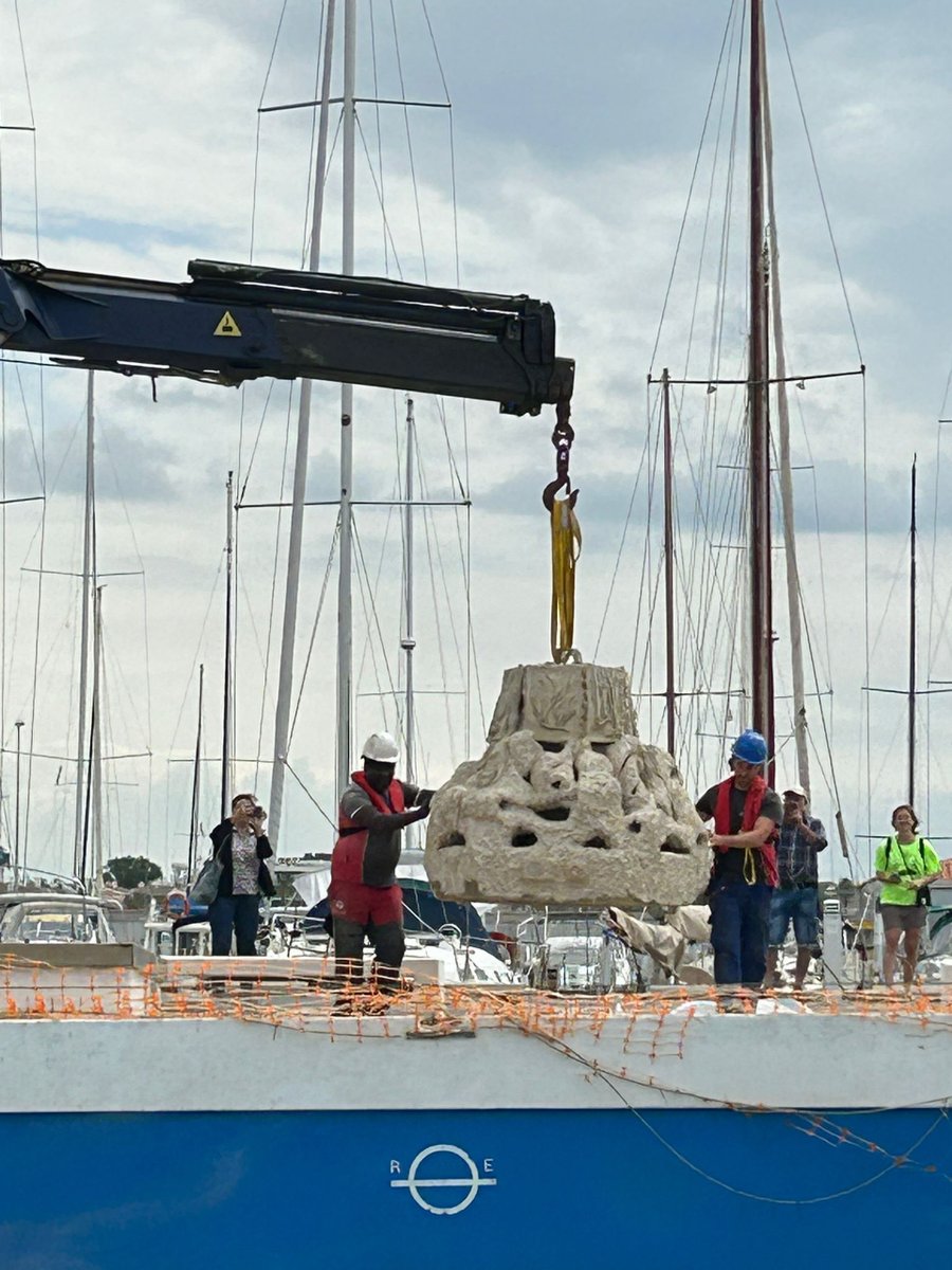 ERCCambrils's tweet photo. ✊🏼 Des de Platges i Medi ambient al costat de projectes tan potents i magnífics com el de l’Institut-Escola Joan Ardèvol!

🧶 MINI FIL👇🏽 https://t.co/wSfojZ9qe1