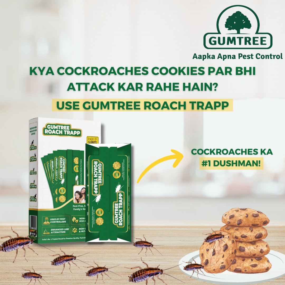 gumtree_traps's tweet image. Who invited these roaches to the tea party? 

Definitely not us! 🫖😅 Keep your gatherings pest-free with the Gumtree Roach Trapp. 🪳🚫

@gumtreetraps 

#cockroachescontrol #1dushman #pestcontrol #safe #petfriendly