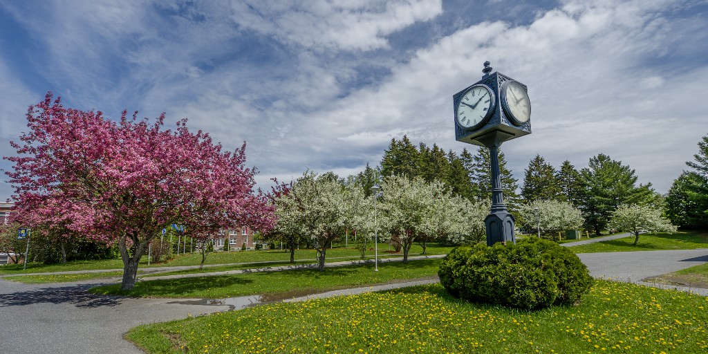 We are proud to share Hannaford Supermarkets and the University of Maine System have partnered on an exclusive 10% tuition discount for Hannaford associates, for all undergraduate and graduate courses offered within UMS, including UMPI's YourPace programs! #UMPIowls #EXPECTumpi