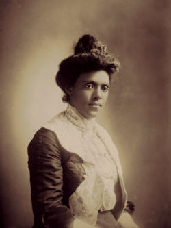 Wikipatia tweet media