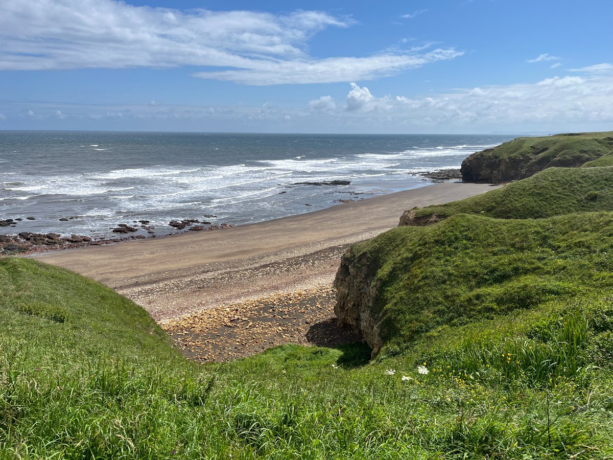 tynetotees's tweet photo. Yesterday during our 'Connecting the Coast' survey we were reminded just how stunning our coastline is along the King Charles III England Coast Path. This is the Blackhall section with a great view of the Denemouth viaduct.

#ECP #KCIIIECP #KCIII  #coastal #walking #coastalwalk https://t.co/avfGt98clz