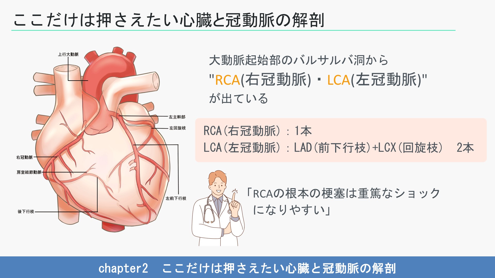 コシミハル 心臓の上 コシミハル 心臓の上 コシミハル 心臓の上 心臓の上