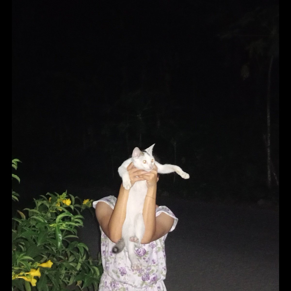sri_agnesia's tweet photo. Fokus jadi diri sendiri✨ https://t.co/S9NlAbzomk