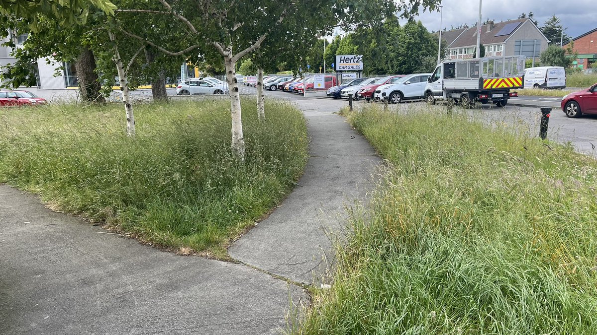 ciarandonohoe's tweet photo. @dlrcc when is this area beside  Glenageary Shopping centre every going to be maintained to a reasonable level!  Please do something about asap.  No excuses like no mow May thanks.  This area also needs a council bin. Area continuously littered #eyesore https://t.co/H5YYeTD5Ym