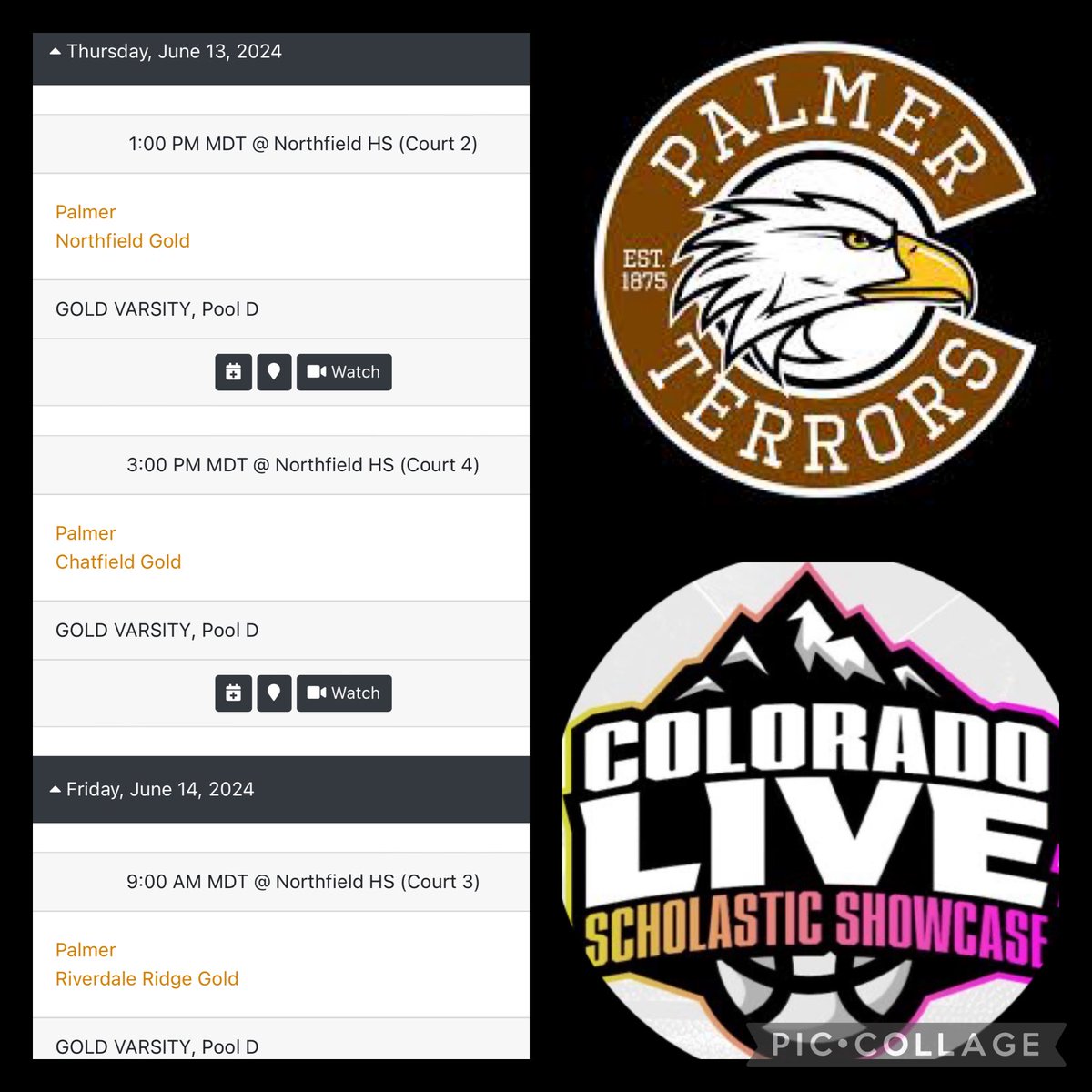 Palmer High School Girls Basketball tweet media