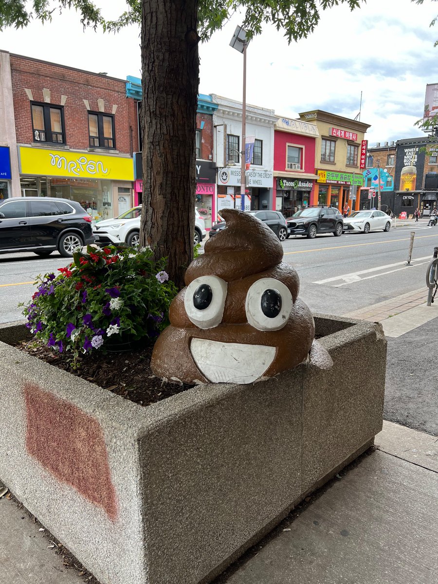 liliecup's tweet photo. the poop fell #torontoupdates https://t.co/Z9rjzVSoOl
