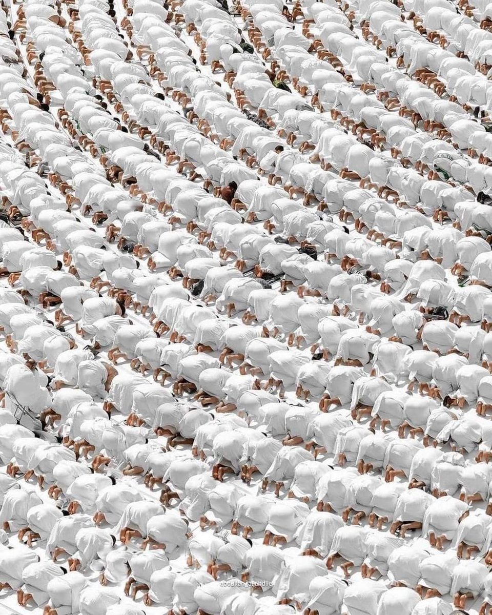 Warrq_'s tweet image. إذا رأيتهم حسبتهم لؤلؤا منثورا  🤍🤍🤍