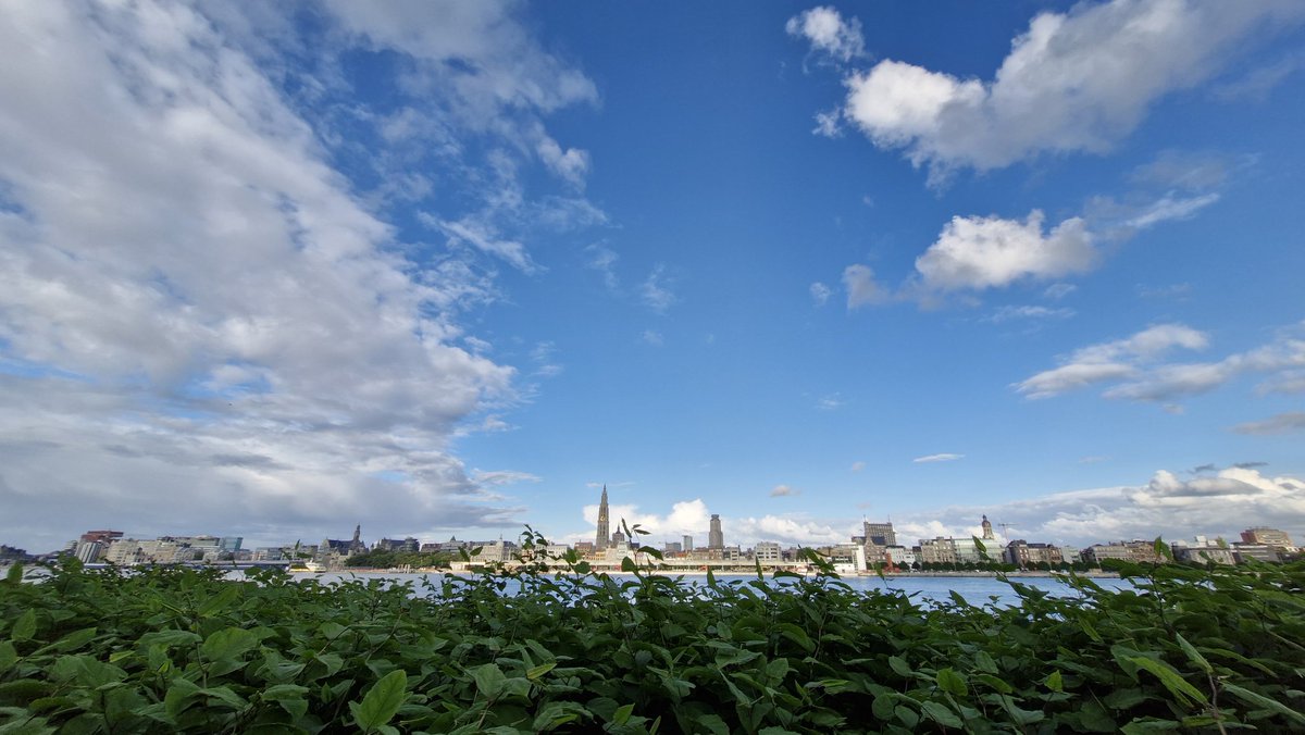 chewmeiling's tweet image. Super beautiful weather at Antwerp today. Chilly sunny clear blue skies.