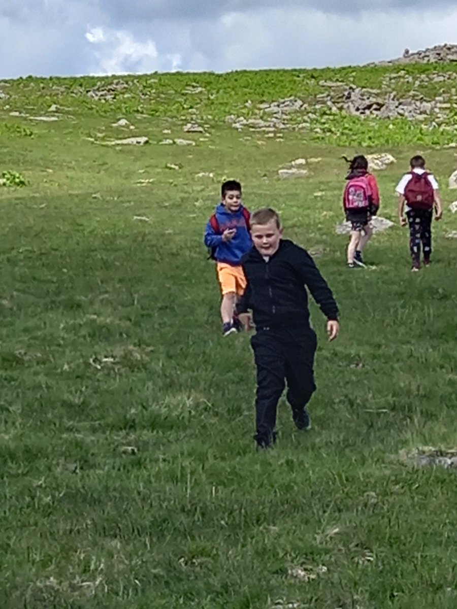 ACEPrimary tweet media