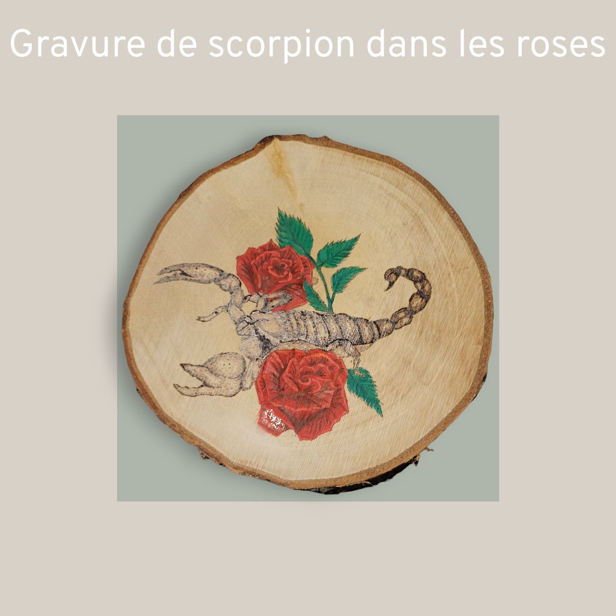 DreamyWolf84's tweet image. Le scorpion dans les roses
#scorpion #pyrogravure #bois #animaux #microentrepreneur
