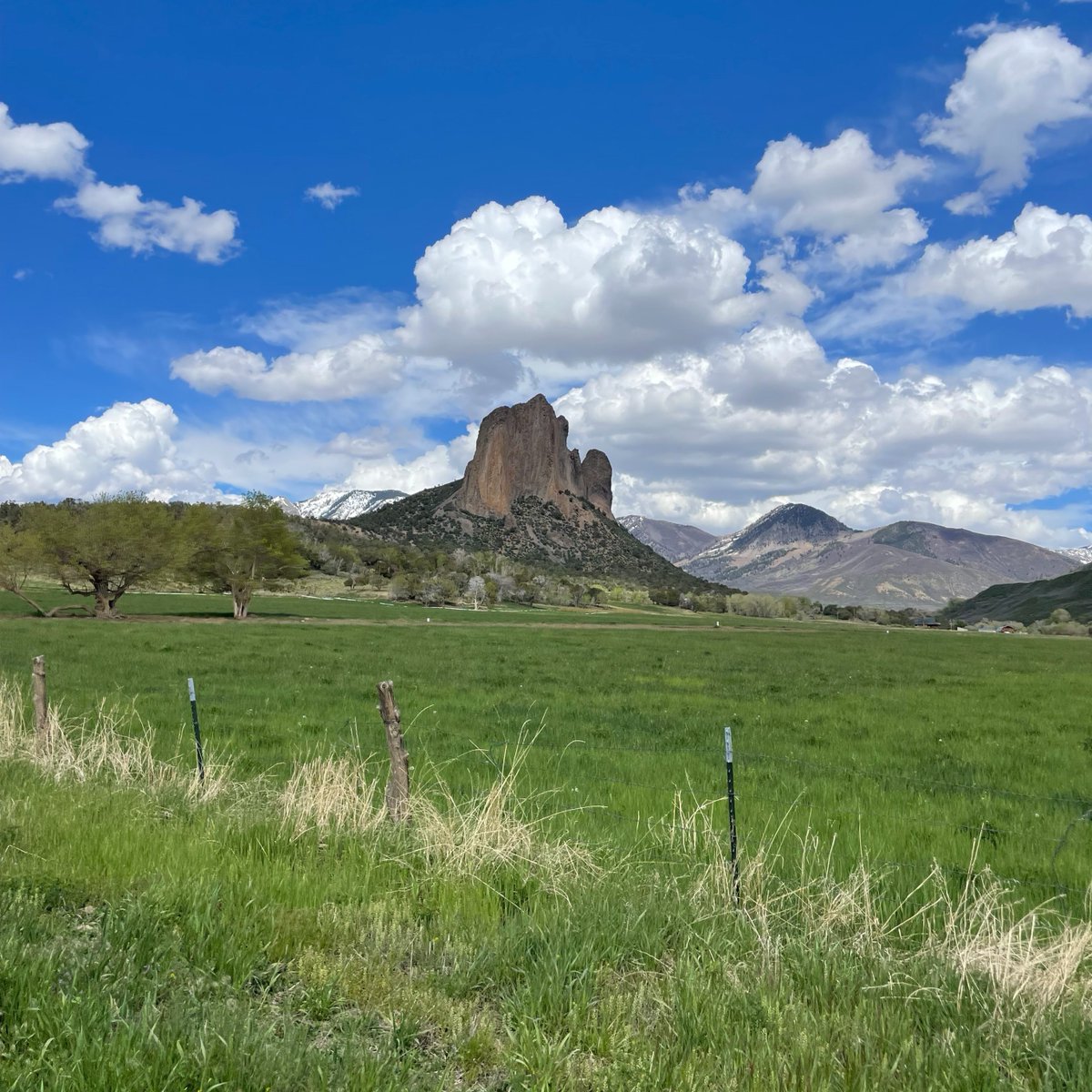 Colorado River District tweet media