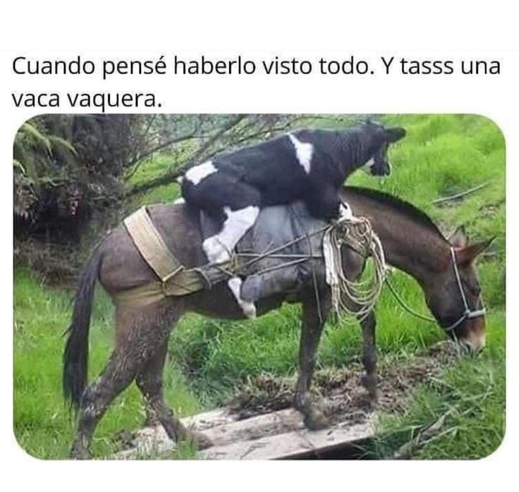 nacional_memes's tweet photo. LATAM moment 🐺 https://t.co/6HyYQHLFfT