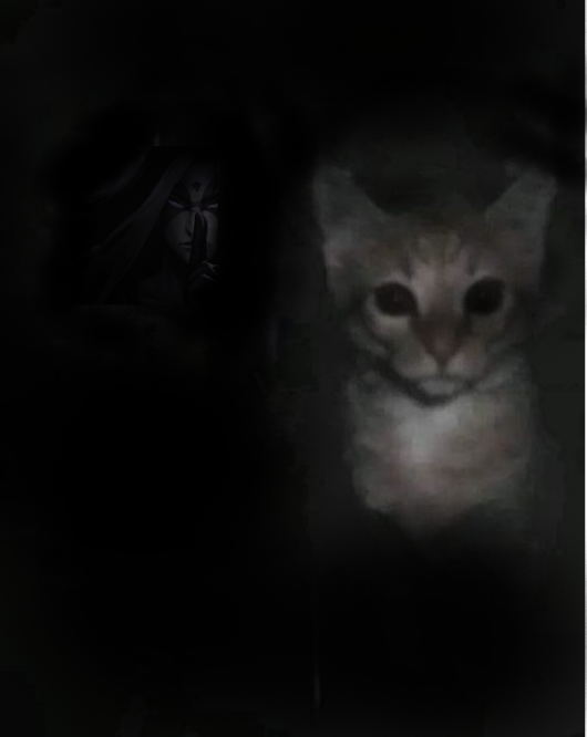 false lieless tweet media