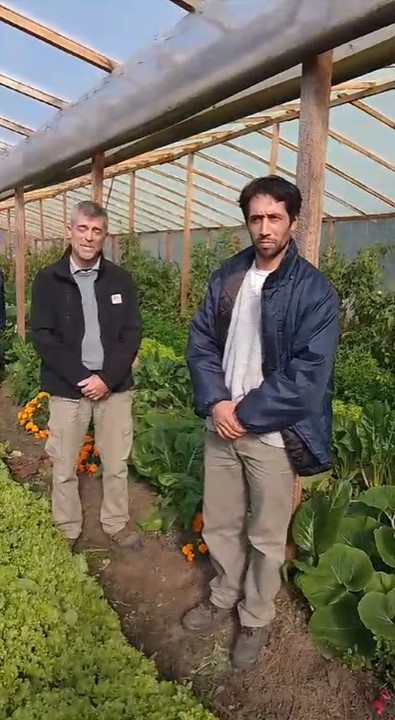 8vo Simposio Internacional sobre Biofumigación, Abonos Verdes y Cultivos de Cobertura! Nicolás Fortunato del INTA San Pedro y Juan Cruz Gajate te cuentan su experiencia en La Gloriosa en Gobernador Castro aplicando agricultura regenerativa para la producción de hortalizas.