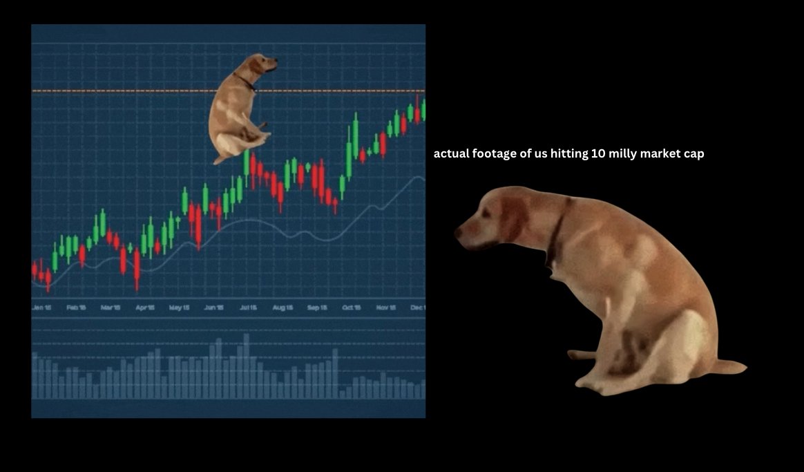 scootdogsol's tweet photo. actual footage $SCOOT https://t.co/1pvslLS6XU