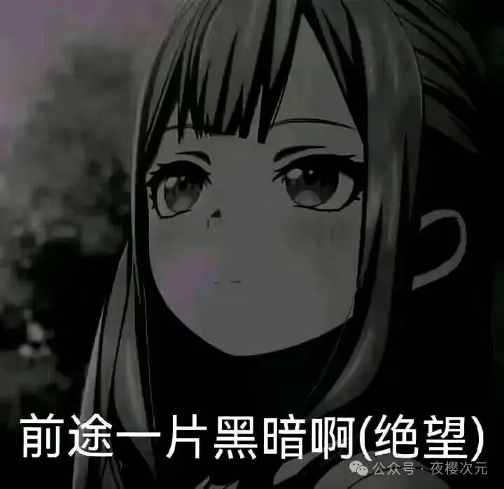 北江 tweet media