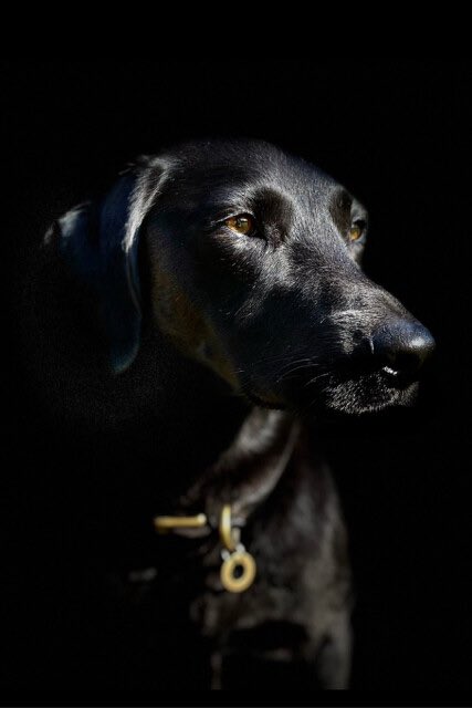 Selina Stephen tweet media