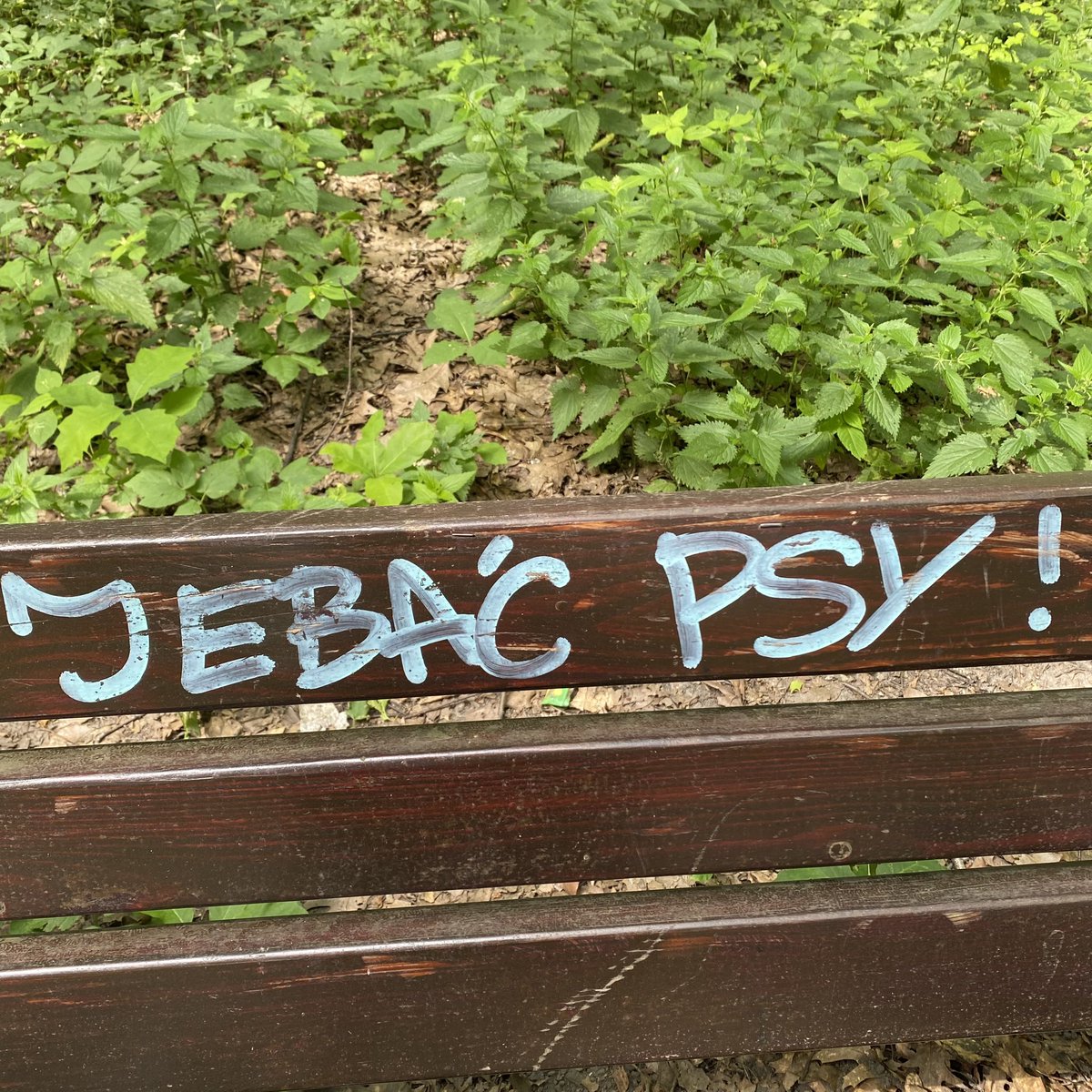 1Fumii's tweet photo. Mądrego to aż miło posłuchać. https://t.co/T4TTyTZO0P