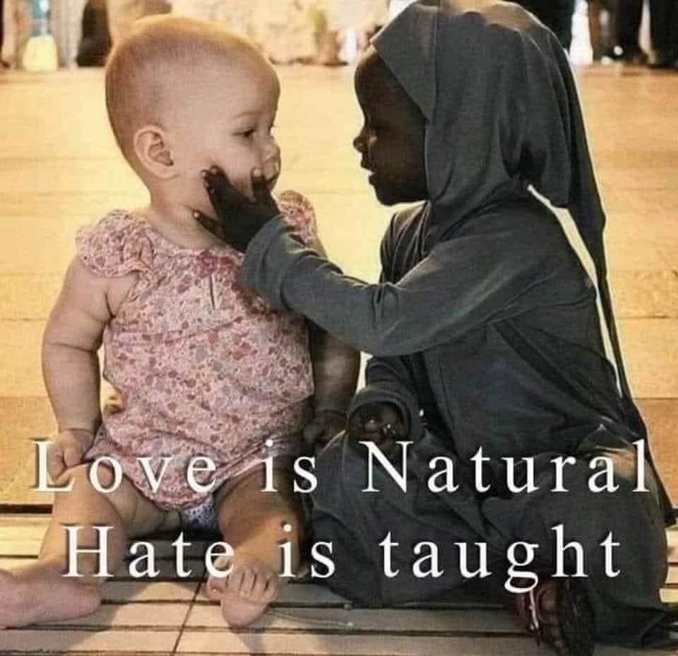 One (@out_ofalaska) on Twitter photo 