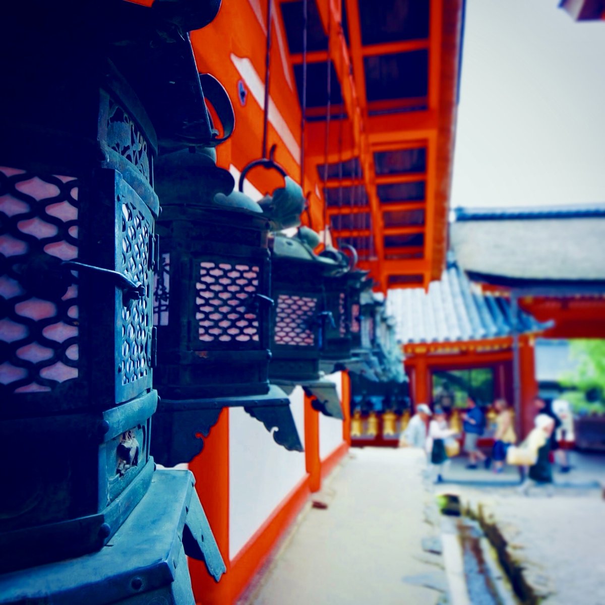 Photo_Walk_Talk's tweet photo. これどこで撮ったっけ？ https://t.co/tJThdyl80w