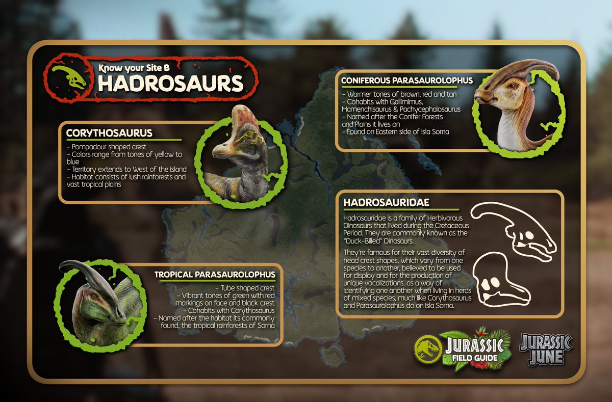 There were over 30 species and breeds of Prehistoric animals living on Isla Sorna, but one group that stands out for its exotic visuals are the Hadrosaurs! 
Which one is your favorite? 
#JurassicPark #JurassicJune #TheLostWorld #JurassicPark3 #Corythosaurus #Parasaurolophus
