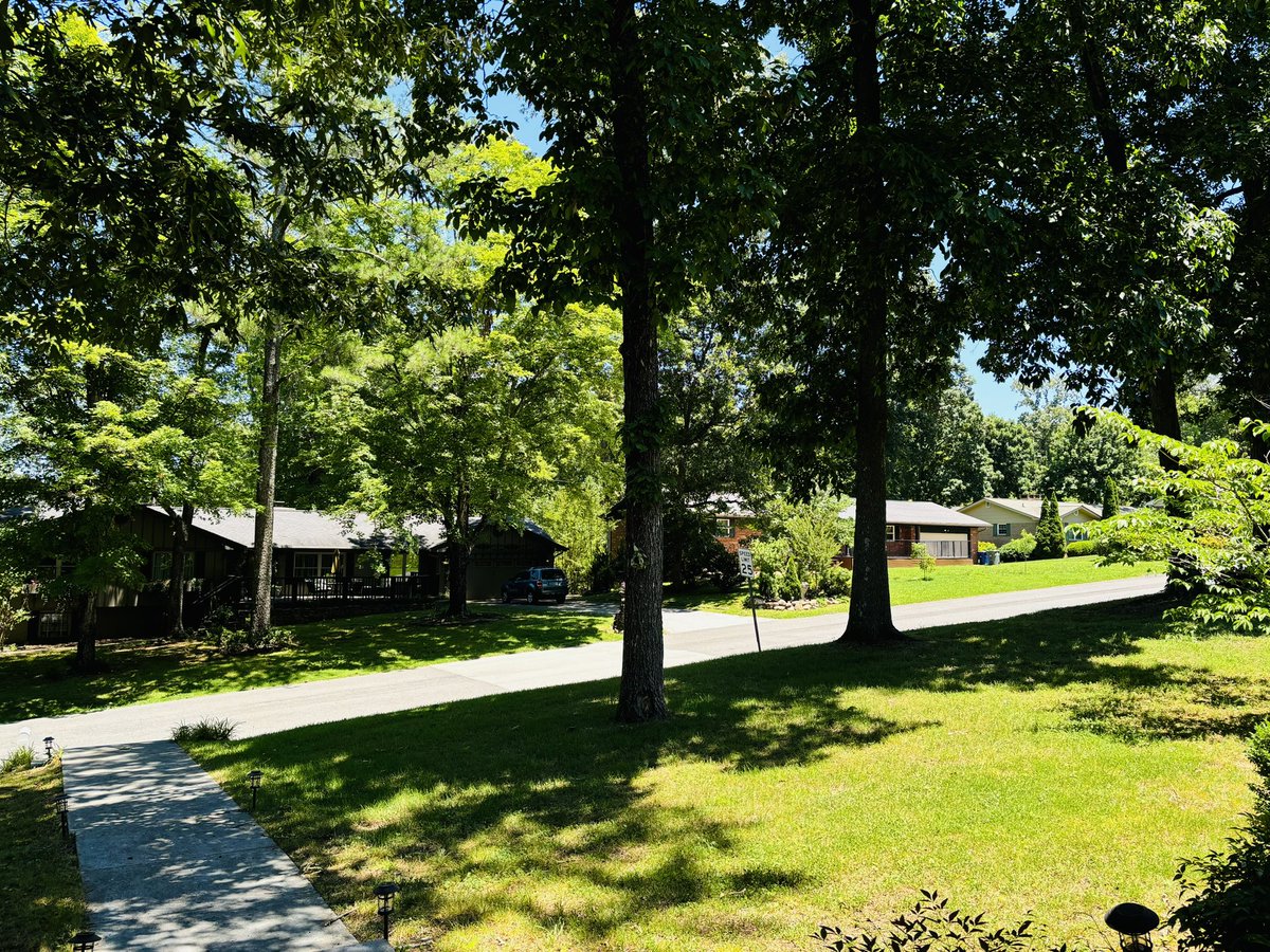 snowdle_wx's tweet photo. Days like today MUST be cherished. When we can score a front like this in mid June we are LUCKY.
Only 78° here in East Chattanooga right now with low humidity as we approach 2:30.
It’s flawless summer days like today that have me thinking of fall….
#chattwx
#junetober https://t.co/S6HXrbRHPL