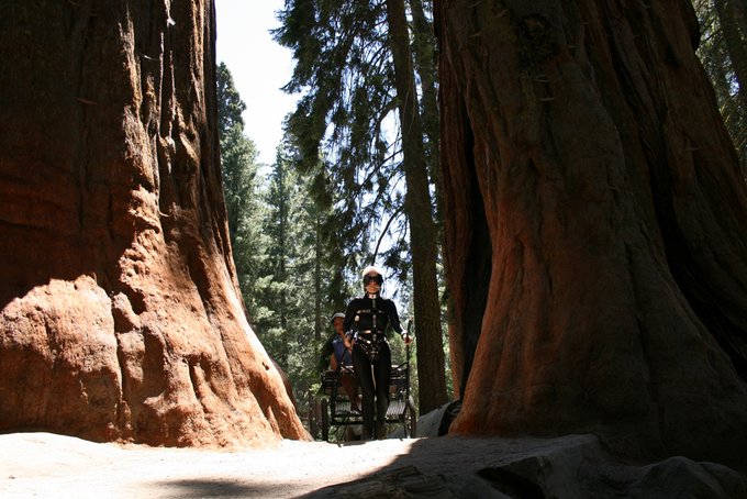 Pony Play in Sequoia National Park  with Rebecca Wilcox and Beauty (aka: subMissAnn when not a Pony)