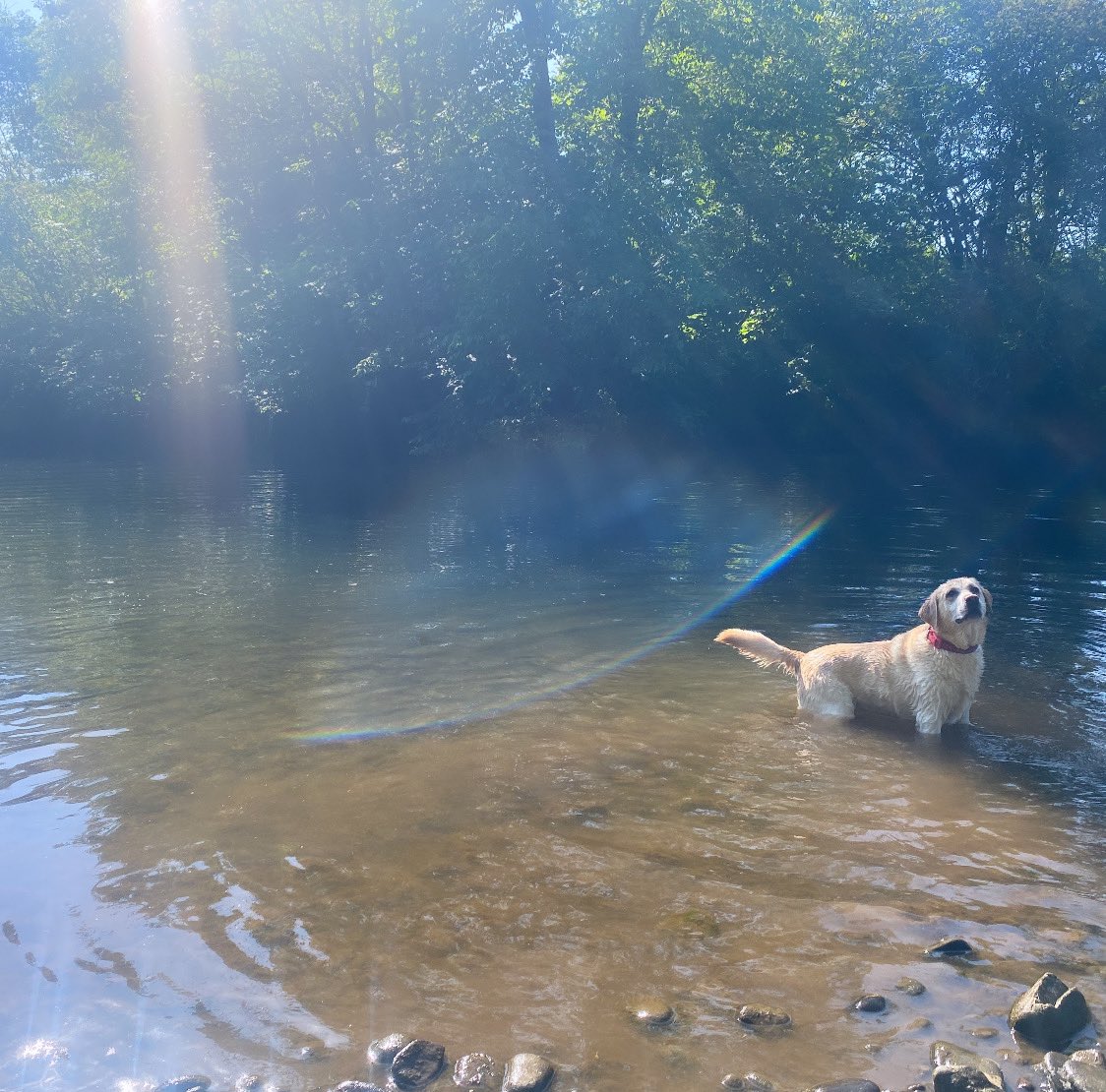 She’s a beauty 🥰