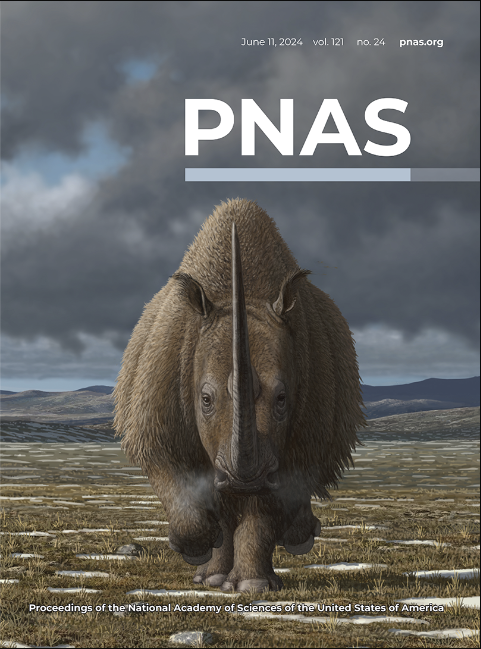 Our study on the dynamics and causes of woolly rhino extinction at the end of the last Ice Age is out in print, and features on the cover of PNAS this week.
pnas.org/doi/10.1073/pn…