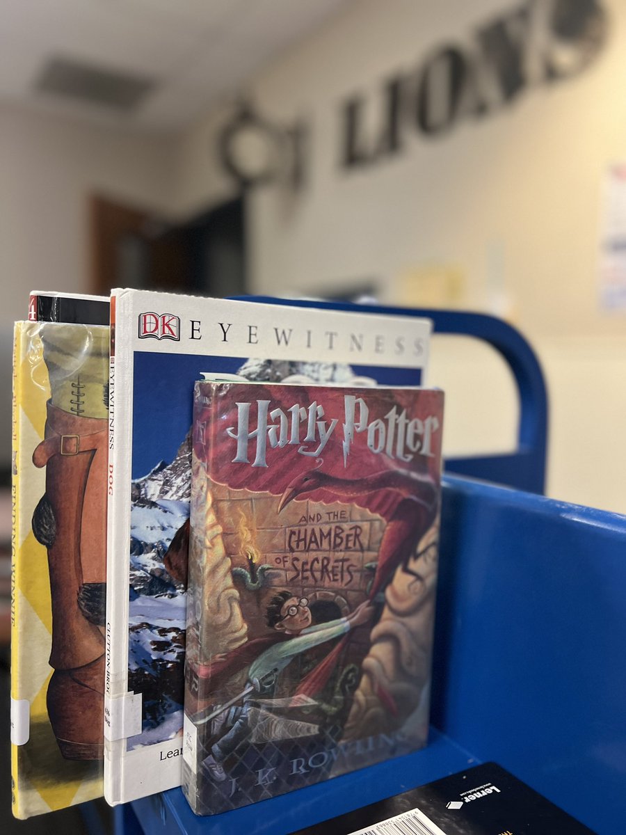 My family attended Harry Potter book release parties and saw every moving in theaters at midnight when they premiered. It makes my heart so happy seeing kids love the books I read as a child 25+ years later!