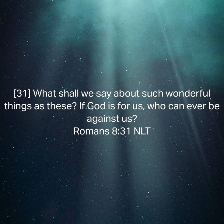 DivMeta's tweet photo. . https://t.co/FpipXjhBzp

#Poetry #Poem #MyShare #Romans 8:31 #Scripture

Enjoy! 
Confusion is an illusion when we connect 🙏🏼🕊️🤍 https://t.co/8eFCdsp2Lu
