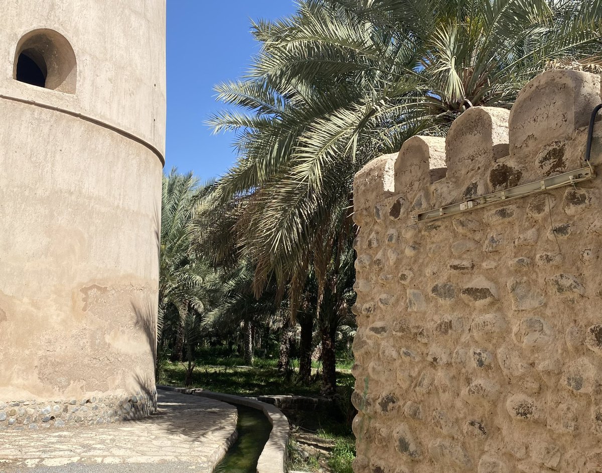 #مع_سليمان 🫀 tweet media