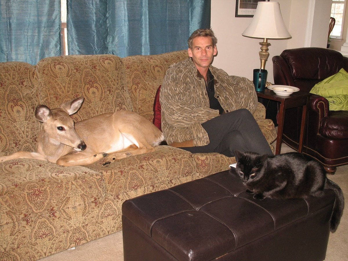 Joshy McCroo - His Majesty the Worm Out Now! tweet media