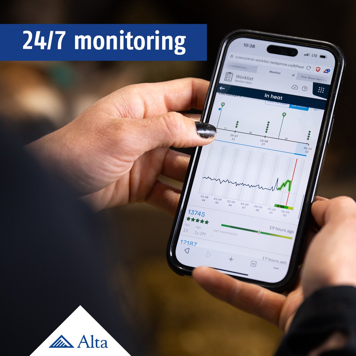 Alta Genetics tweet media