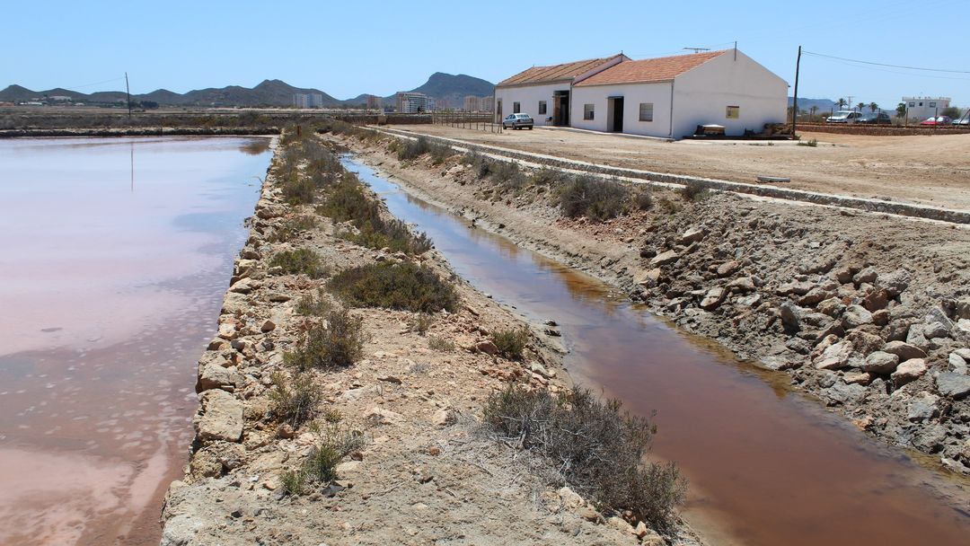 gobmenorca's tweet photo. 🌊 🧂 Vam tenir l'oportunitat d’assistir al seminarisobre restauració ecològica de salines abandonades organitzat per @WWFespana , @asociacionanse , ANSE i l’ @IEOoceanografia en el marc del projecte #RESALAR realitzat a les Salines de Marchamalo, al sud del Mar Menor. https://t.co/wVBipZQcDZ