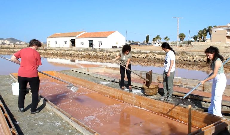 gobmenorca's tweet photo. 🌊 🧂 Vam tenir l'oportunitat d’assistir al seminarisobre restauració ecològica de salines abandonades organitzat per @WWFespana , @asociacionanse , ANSE i l’ @IEOoceanografia en el marc del projecte #RESALAR realitzat a les Salines de Marchamalo, al sud del Mar Menor. https://t.co/wVBipZQcDZ