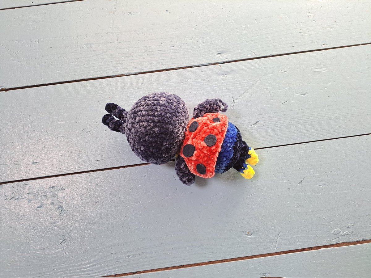 Esmeé van't Hoff tweet media