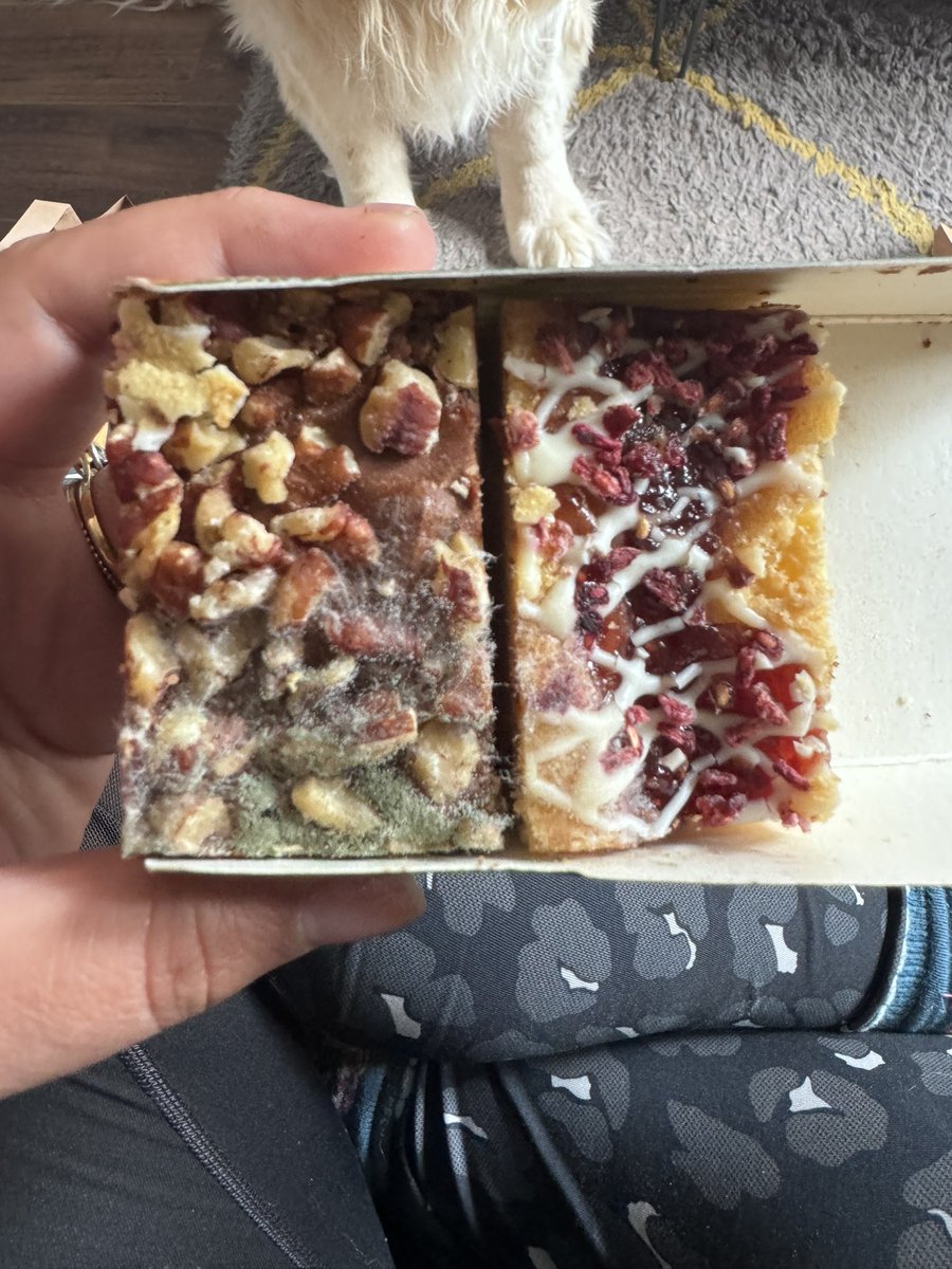 LucyFChadwick's tweet photo. @StarbucksUK just had an Uber eats delivery and my trio of favourites is mouldy… 🤢 https://t.co/b2MrS4bHWg