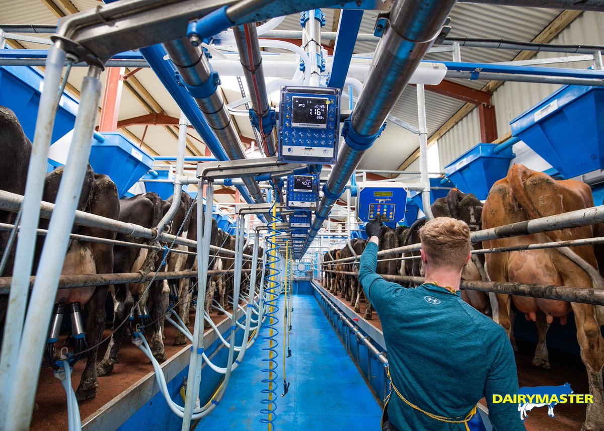 dairymaster's tweet photo. New entrant Sean Ryan making light work of his 100 cows with a 16-unit Swiftflo Swing Parlour in Co. Tipperary.
#dairymaster #dairyfarm #dairyfarming #irishfarming #irishdairyfarm #irishfarm https://t.co/LaEt9dInBN