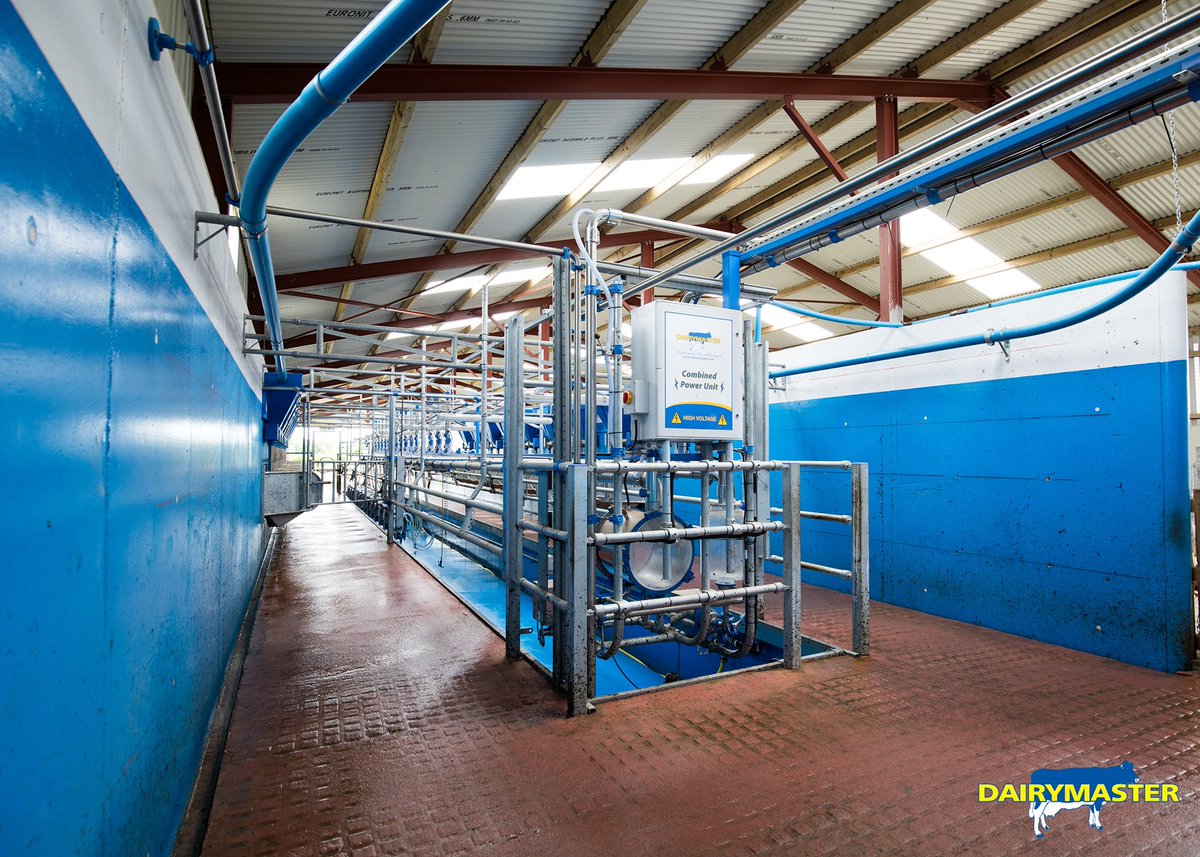 dairymaster's tweet photo. New entrant Sean Ryan making light work of his 100 cows with a 16-unit Swiftflo Swing Parlour in Co. Tipperary.
#dairymaster #dairyfarm #dairyfarming #irishfarming #irishdairyfarm #irishfarm https://t.co/LaEt9dInBN