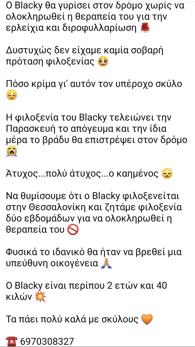 elinampounia's tweet photo. Update: Υπάρχει κάποιος στη Θεσσαλονίκη να φιλοξενήσει τον κούκλο Blacky για να ολοκληρωθεί η θεραπεία του; Είναι πολύ κρίμα να πάει χαμένος ο κόπος των εθελοντών https://t.co/Jxumd3OoLf