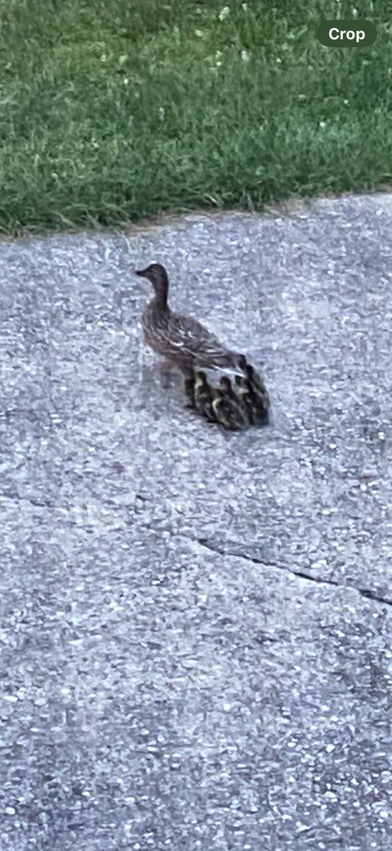 Moyer Elementary tweet media