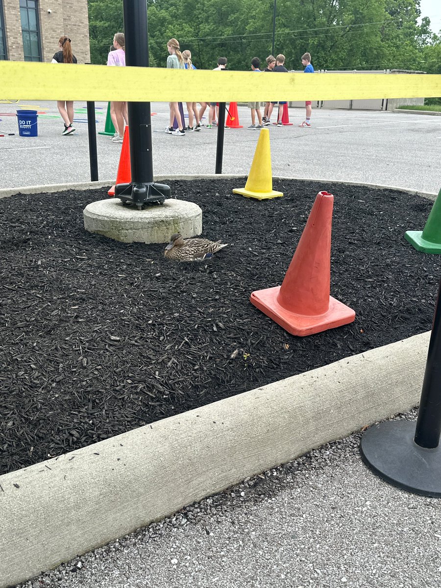 Moyer Elementary tweet media