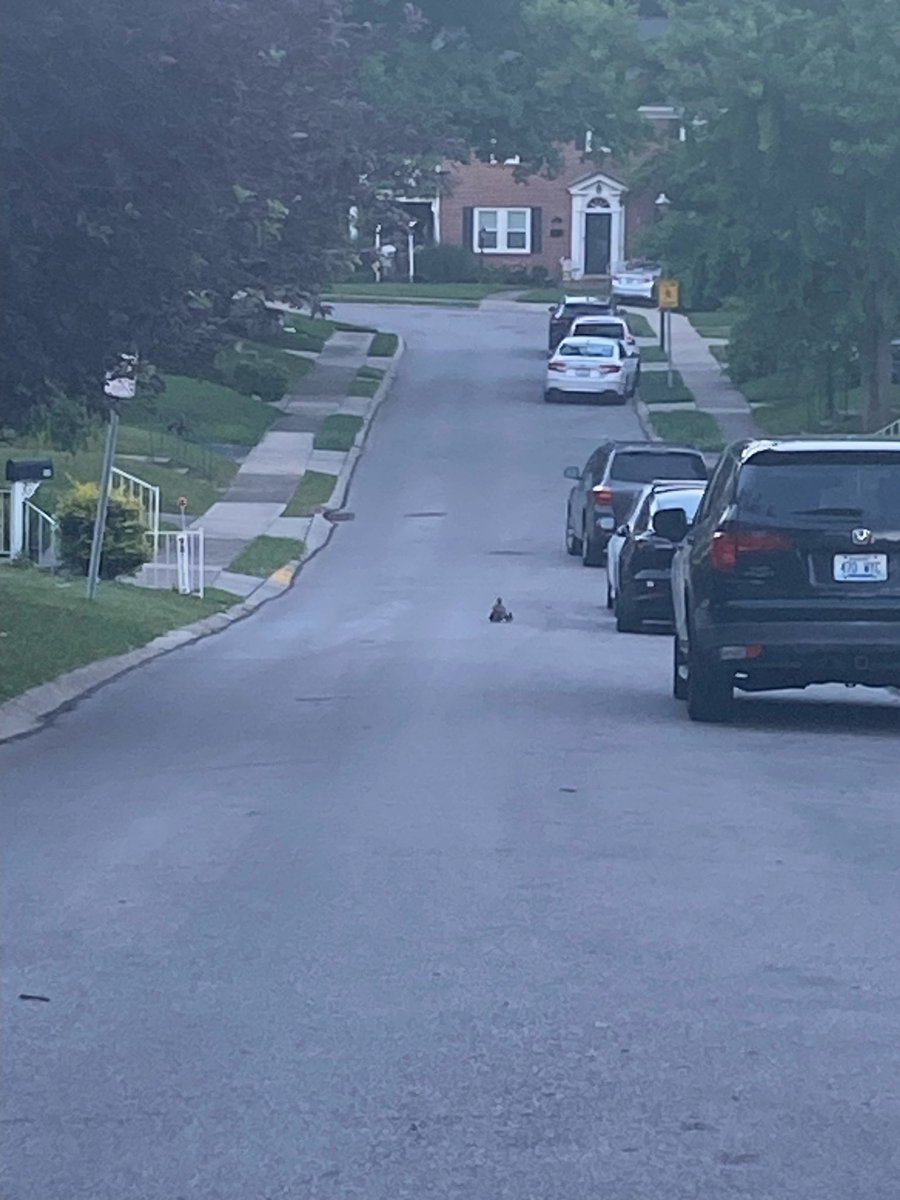 Moyer Elementary tweet media