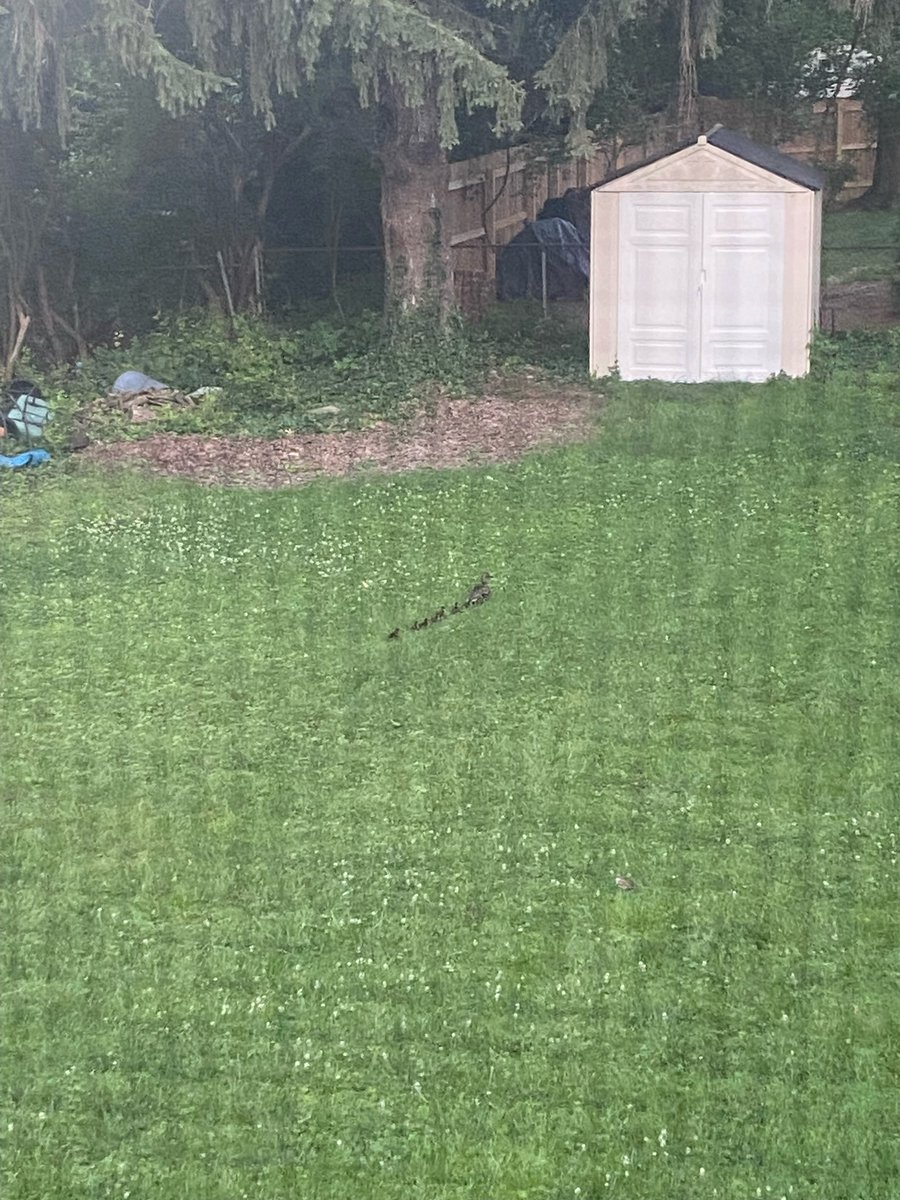 Moyer Elementary tweet media