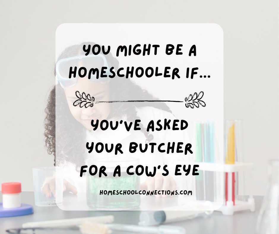 homeschoolcnnct's tweet image. You might be a homeschooler if...
#HomeschoolConnections #KitchenScience #CatholicHomeschooling