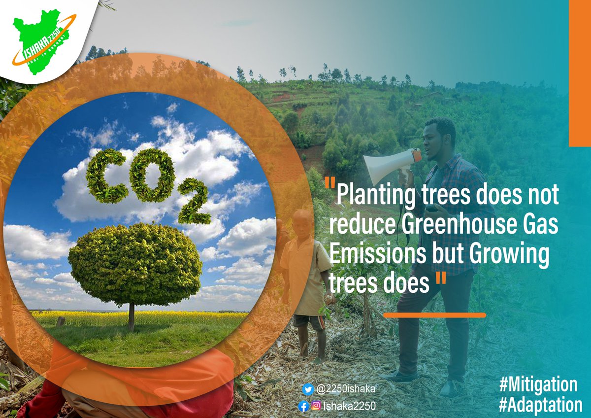 2250Ishaka's tweet photo. 🟩The most important thing to mitigate #ClimateChange is not ''planting trees'' but ''making them grow''🌳
✅As trees grow, they help absorb and sink carbon that would otherwise contribute to global heating. So:
🟢Planting #trees does not reduce #GHGE but ''Growing trees does''. https://t.co/v1Q8u6aOl2