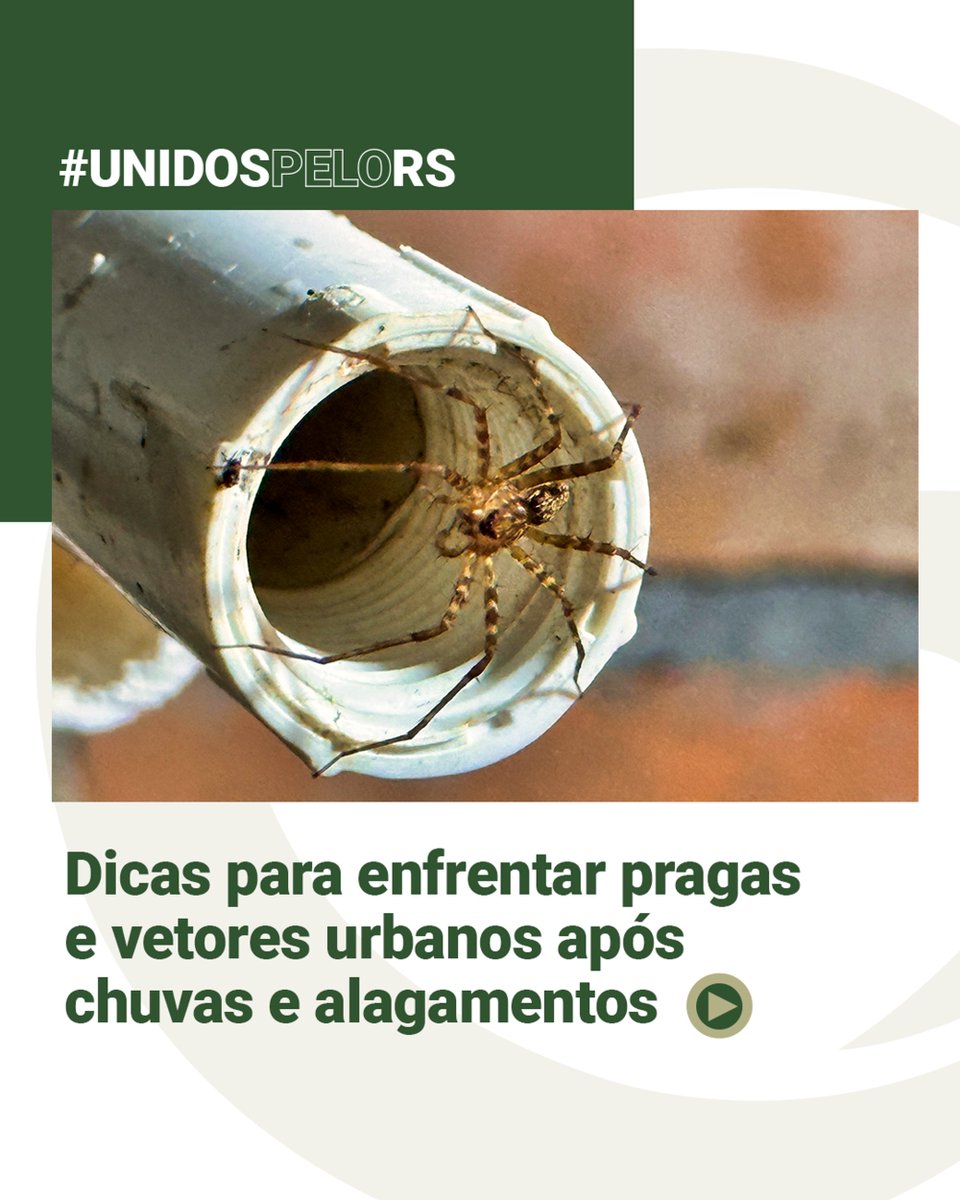 Granpalrs's tweet photo. #UnidosPeloRS | Enfrentar pragas e vetores urbanos depois de uma enchente não é tarefa fácil. Aqui separamos algumas dicas para tentar afastá-los de sua casa. https://t.co/Y05OlelhXc