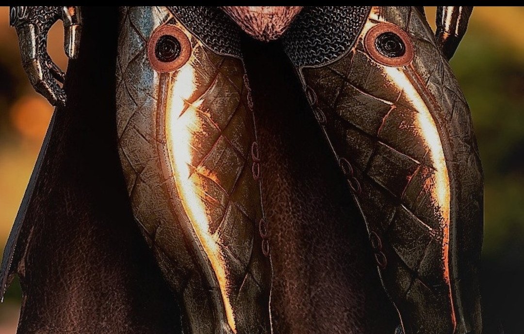 solas' chew toy tweet media